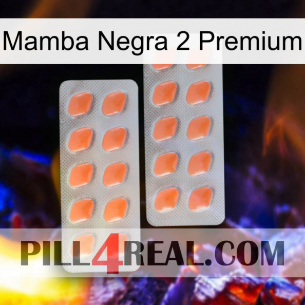 Black Mamba 2 Premium 27.jpg